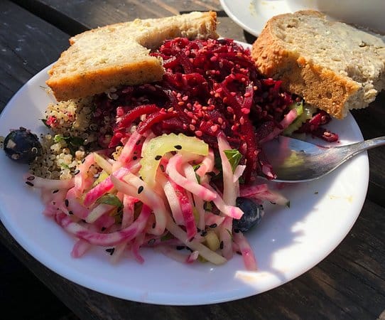 vegetarian restaurants in Copenhagen