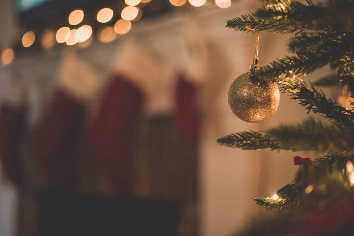 Eco-Friendly Christmas Tree Options