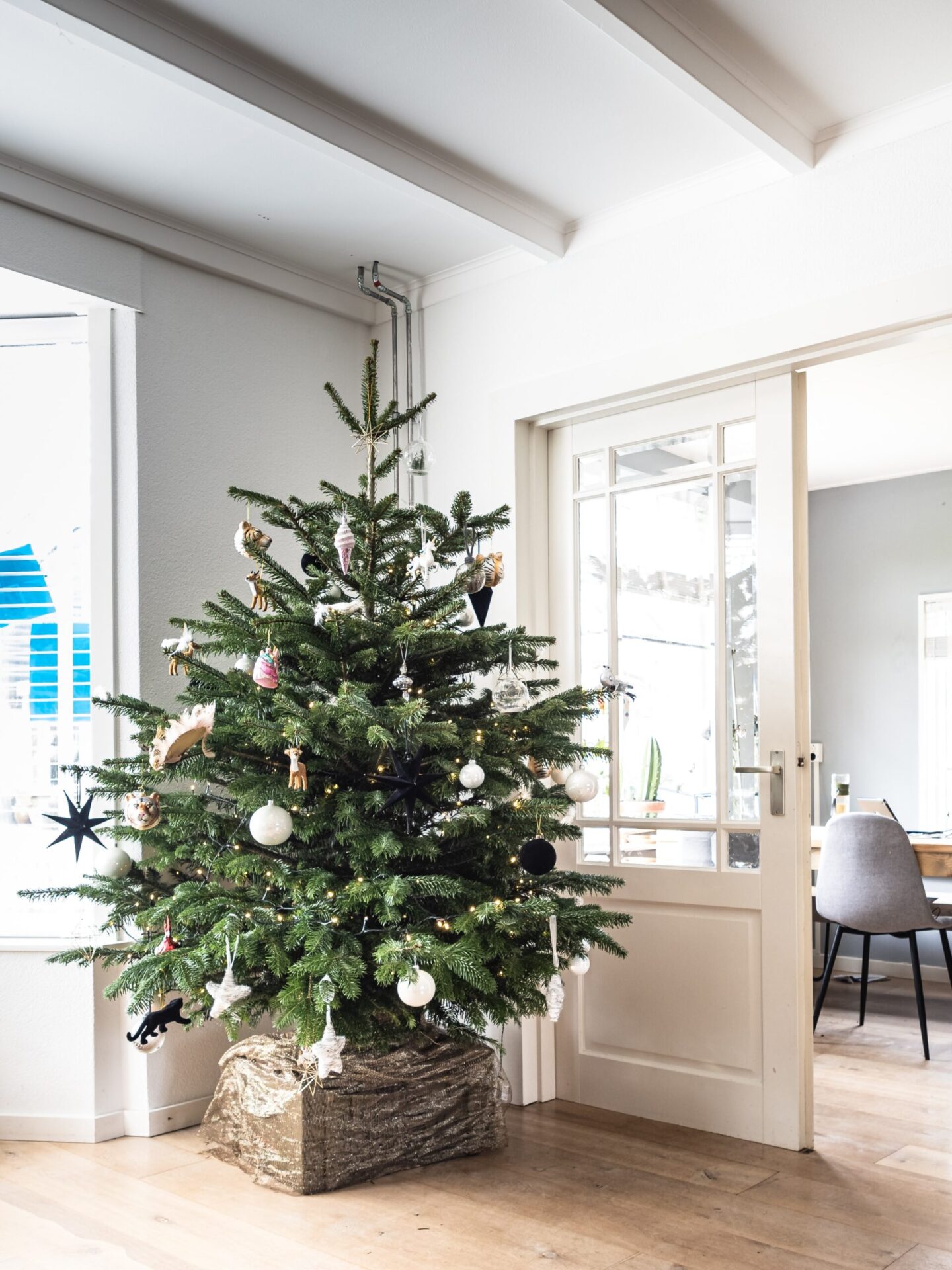 The Best Eco-Friendly Christmas Tree Options