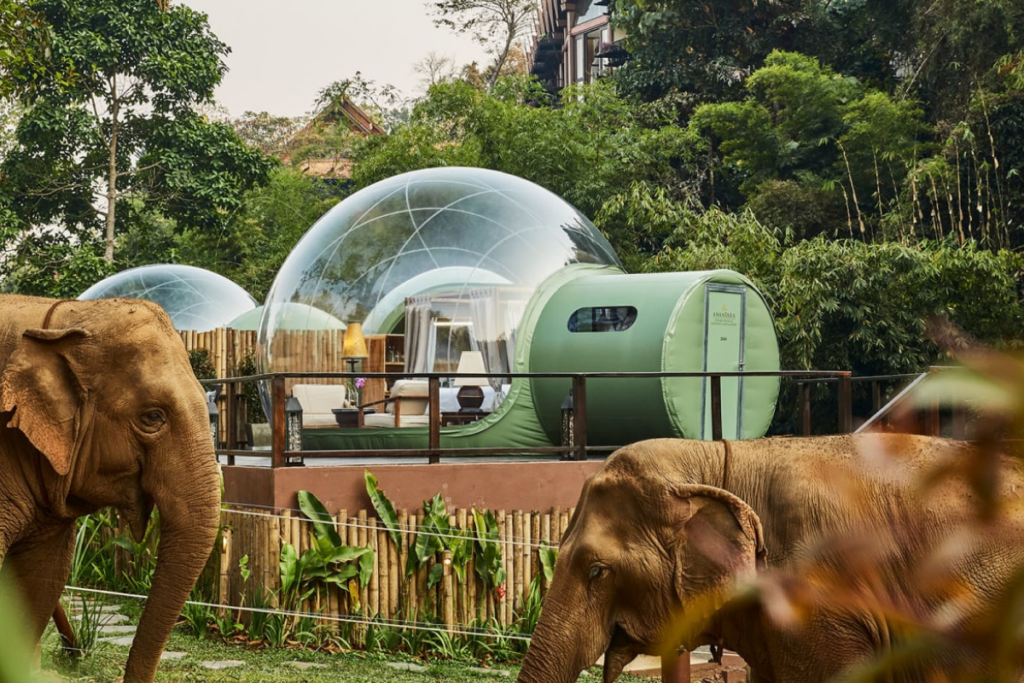 anantara golden triangle resort 
