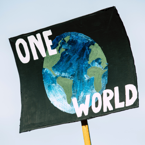 one world - Environmental Volunteer Opportunities