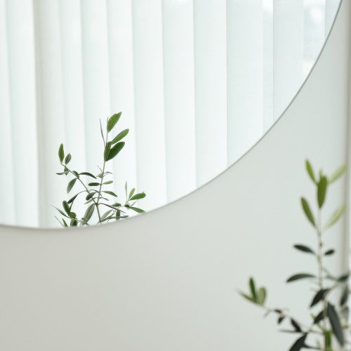 a clean mirror where you can see a part of a  green house plant. 