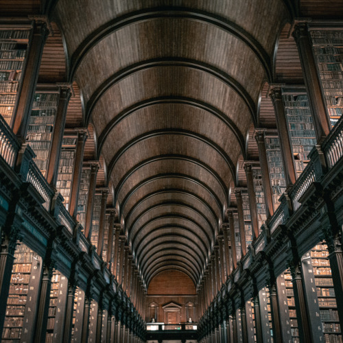 The dingle-chamber room in Trinity College Library 