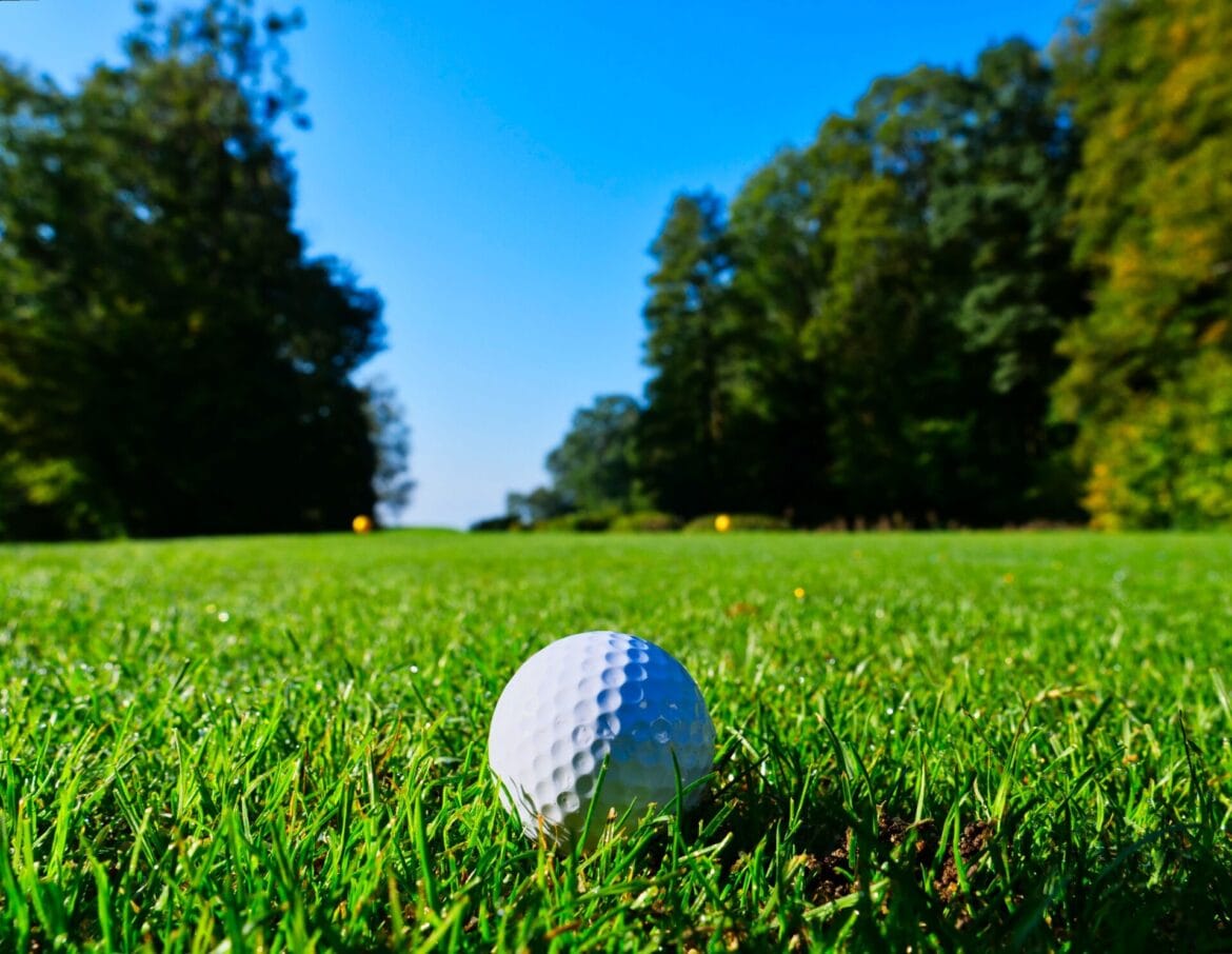 Golf ball on grass