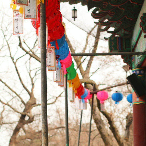 Korea - New year's traditions around the world