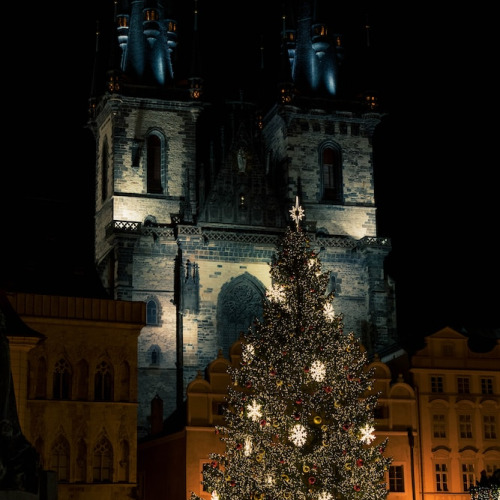 Christmas tree in Old Town Prague