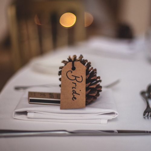 Pinecone at the bride’s seat for winter wedding destination