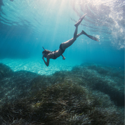 Eco-adventure in Florida