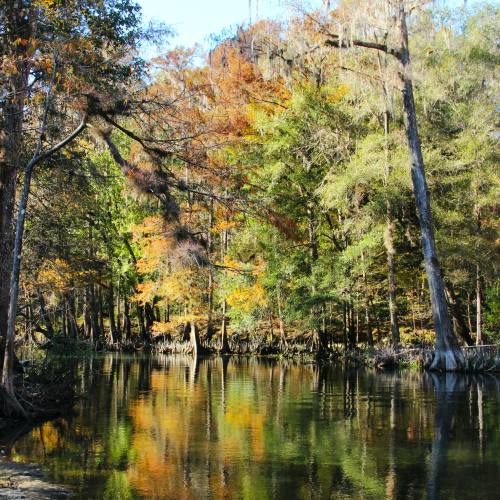 Eco-adventure in Florida
