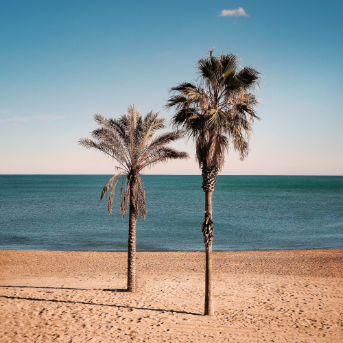 Barcelona travel guide