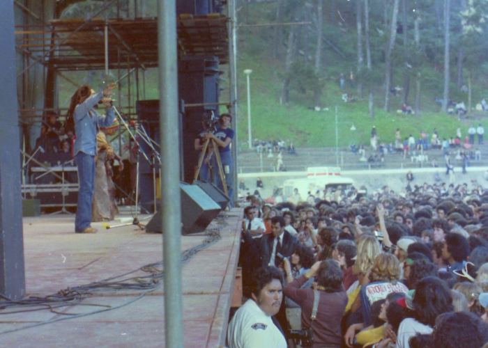 Music around the world - Reggae