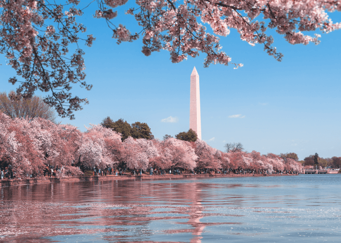 where to travel to in may - Washinton DC