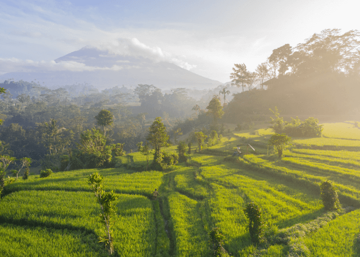 where to travel to in may - Bali