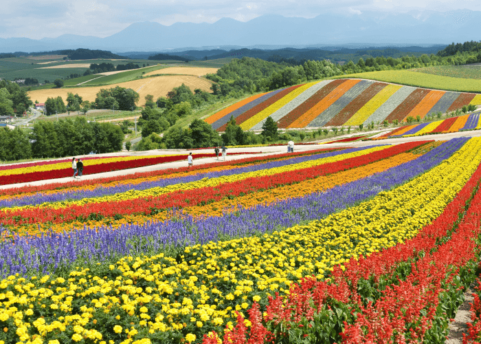 where to travel to in may - Hokkaido, Japan