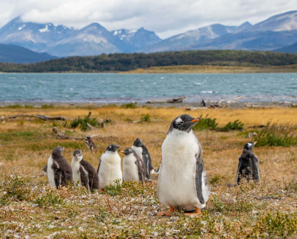 Ushuaia, Argentina