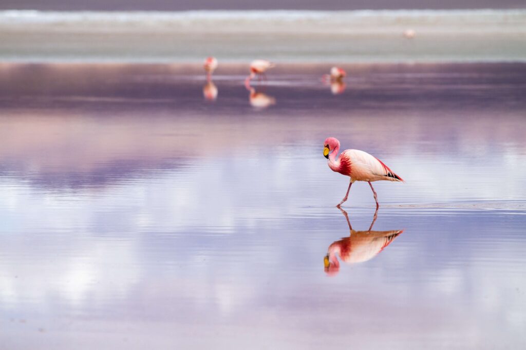 Salar de Uyuni, Bolivia