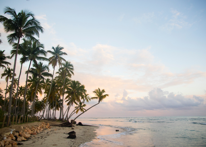 where to travel to in june - The dominican republic