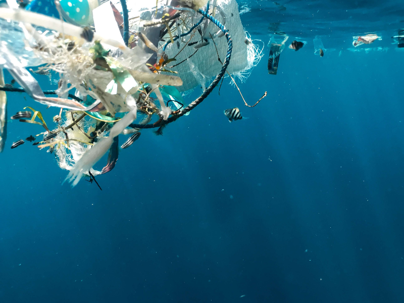 fighting against plastic pollution