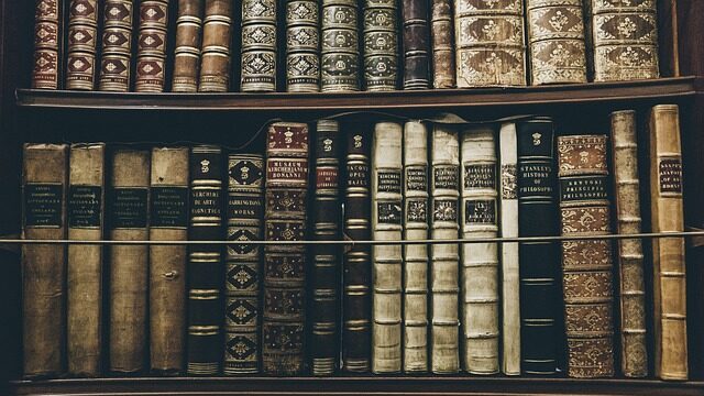 best historical travel destinations - library