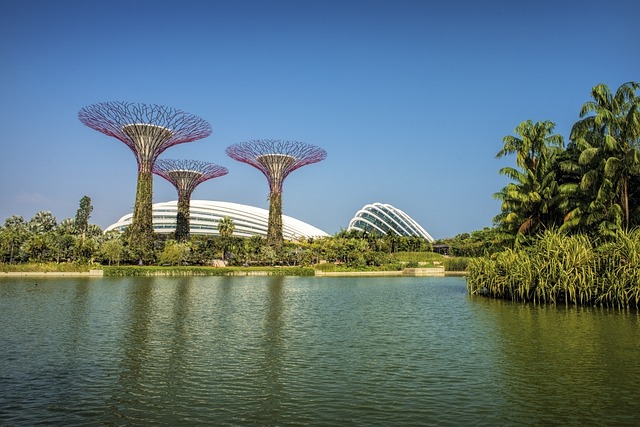 Gardens by the Bay