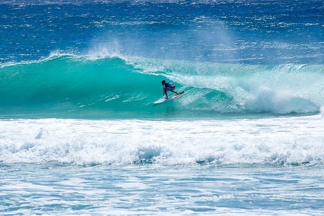 Surfer