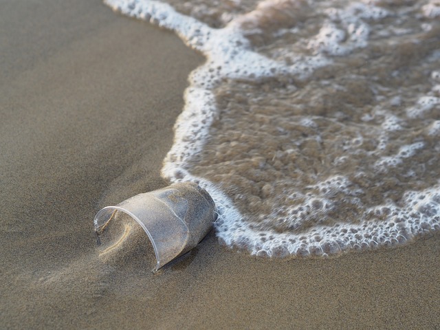 Plastic cup at the beach