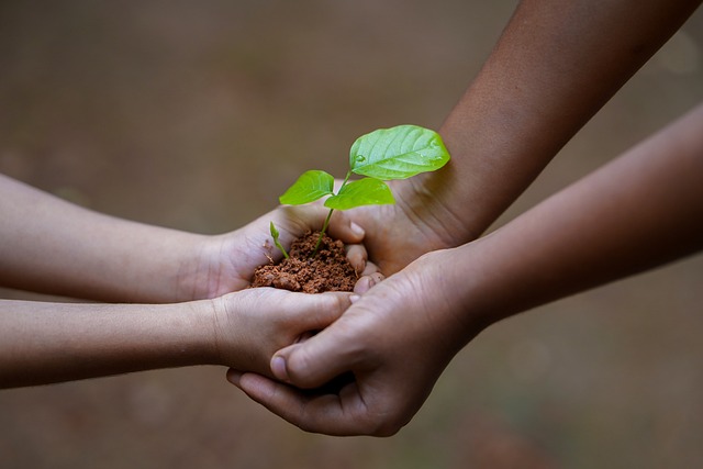 earth day soil