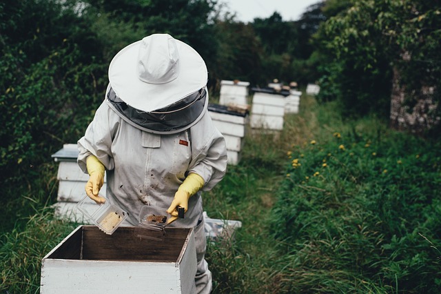 bee farmer