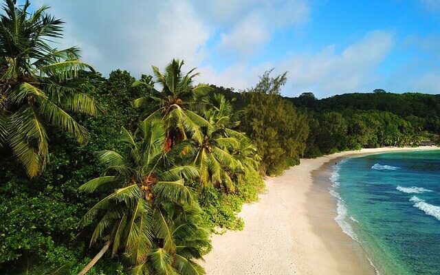 beach, fiji, ocean, palms 