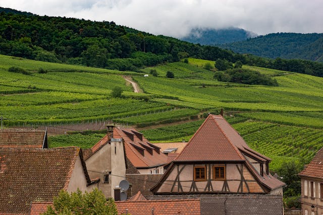 Alsace Wine Route