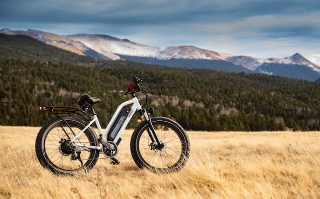 Travel With E-Bikes in Australia