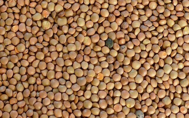 lentils, food, health