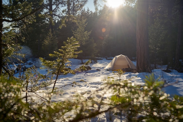 tent in nature