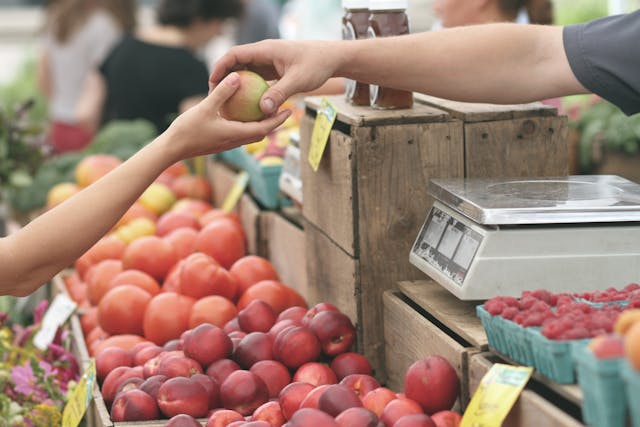 6 Tips to Make Your Travel More Sustainable