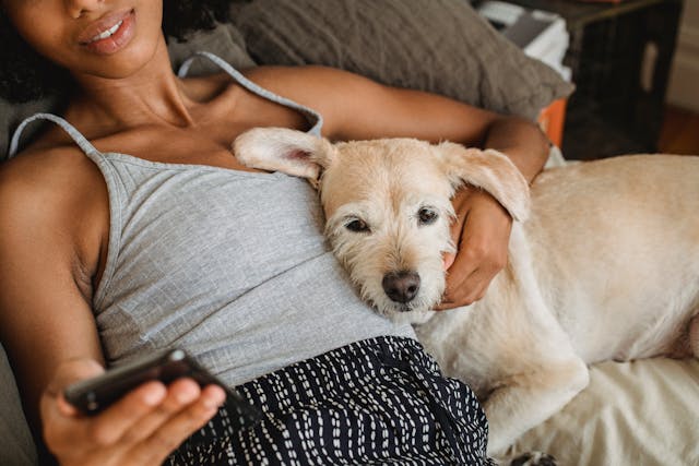 Eco-Conscious Travel with Pets