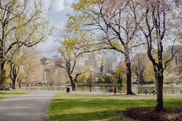 park - green